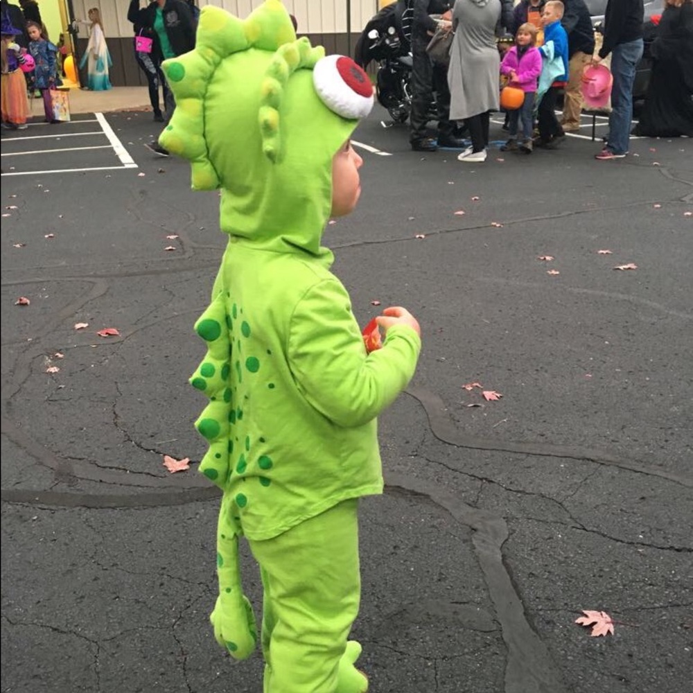 Handmade Rapunzel Pascal Halloween Costume